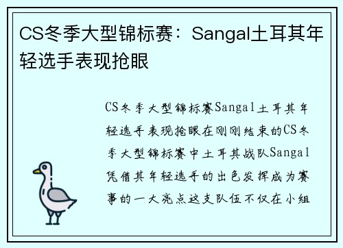 CS冬季大型锦标赛：Sangal土耳其年轻选手表现抢眼