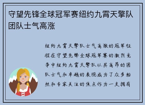 守望先锋全球冠军赛纽约九霄天擎队团队士气高涨