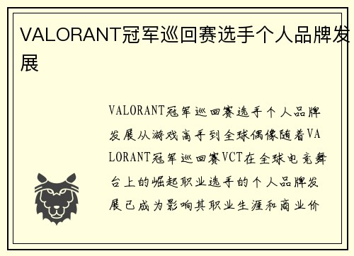 VALORANT冠军巡回赛选手个人品牌发展
